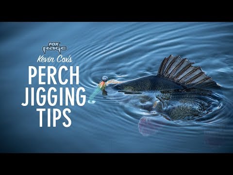 Video: How To Catch Perch With A Jig
