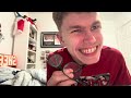 AN ACTUAL CHILL TUESDAY? ( Day 228)