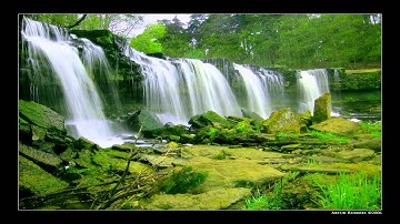 the Prototypes - Cascade