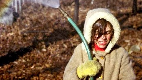 8.02x - Lect 31 - Rainbows, Fog Bows, Haloes, Glories, Sun Dogs