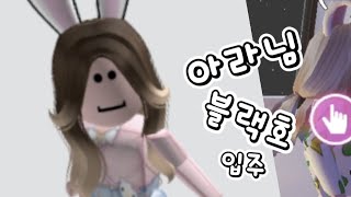 아리님 블랙호2호 입주!!