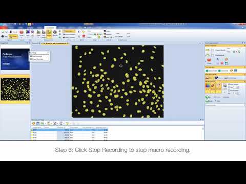 Beginner's guide to macro writing: Celleste Image Analysis Software