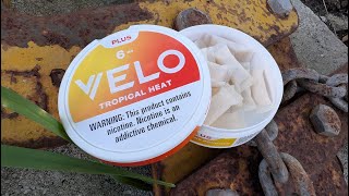 Velo Plus "Tropical Heat" - Nicotine Pouch Review Net Worth