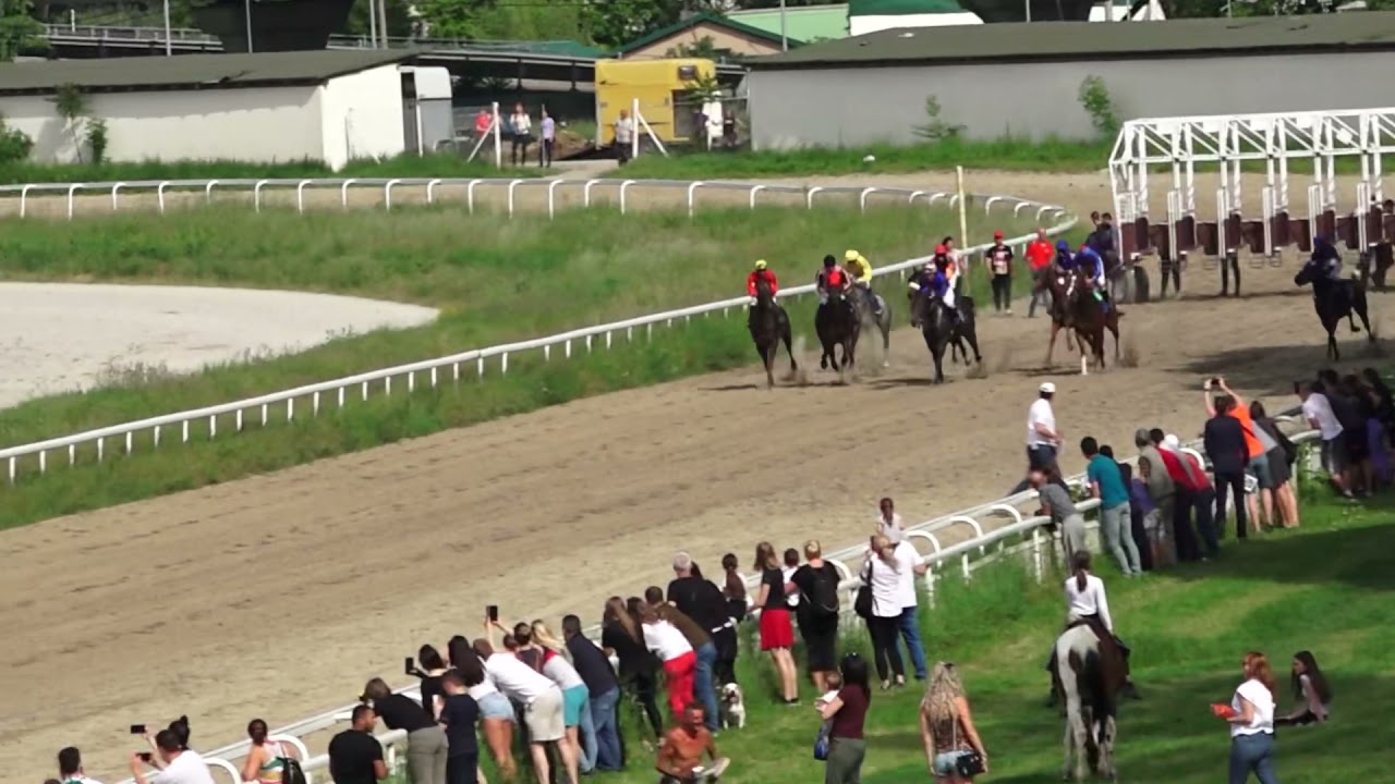 Trka Sonny Santino - 23.05.2021. - Hipodrom Beograd