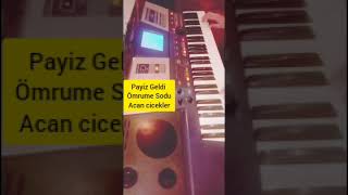 payiz geldi omrume sintezatorda Mahir Besirov 🎹🎶 Resimi