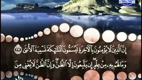 سورة النجم 27-31 للشيخ المنشاوي