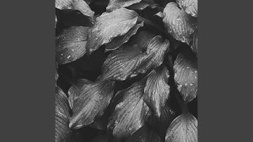 Pulsating Music for Relaxing Mornings