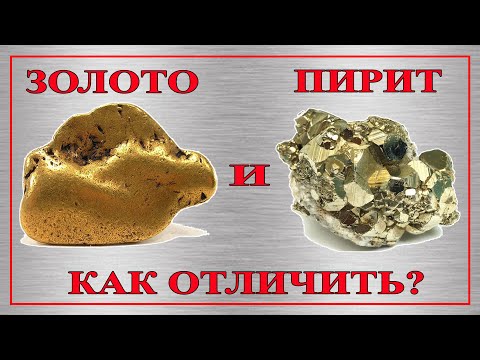 Видео: Что такое золото дураков?