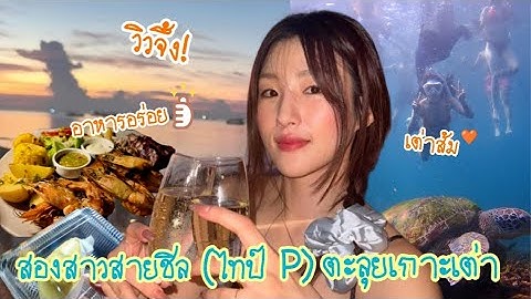 태국 거주 한국인이 추천하는여행지!거북이섬🚨J시청금지 | คนเกาหลีในไทยพาเที่ยว ‘เกาะเต่า’(🚨ไทป์ J ใจบางห้ามกด!)