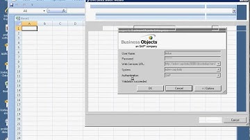 Xcelsius and BW with Live Office: step 3 (Excel with LO)