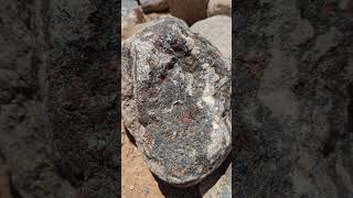 Priority Gold Ore now being excavated check out this native raw Gold 🥇🪙!