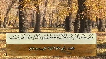 تلاوة سورة النمل لعام 1434 هـ للشيخ محمد الدهاس مع معاني الكلمات