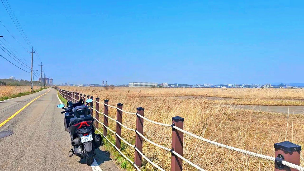 25년식 포르자350을 타고 끝없이 펼쳐진 초원 위를 달려보자 !! [Honda Forza350 2025]