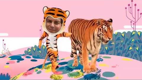 SB Animals- Tiger in the Jungle