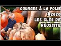 100 kilos de courges 😲 - Pourquoi comment ? Récolte #2020