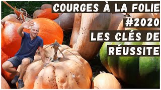 100 kilos de courges 😲 - Pourquoi comment ? Récolte #2020