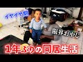 引越し直後で疲れ切った夫婦と魔の２歳児の平日の夜VLOG【アメリカ生活・国際結婚・バイリンガル】