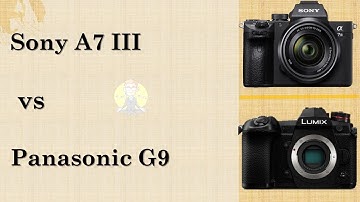 Sony A7 III VS Panasonic G9