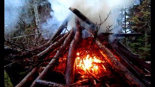 Conifer Bough Fire Booster to Burn Wet Wood