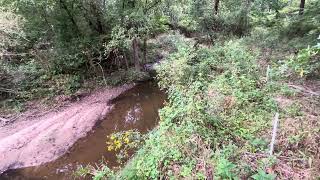 Greg shares update on forest mulched area and health advantages of Autumn Olive!