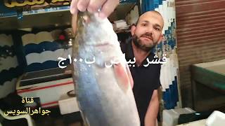جبنالكم الفرق بين سمكة البياض النيلي و أصناف وأسعار الأسماك بسوق السمك  قبل ذهابك للشراء.