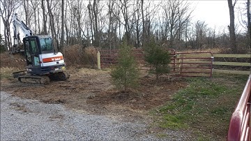 Transplanting & Saving Red Cedar Trees with Bobcat Excavator