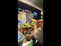 Live broadcast of street food specialties and fruit delicacies