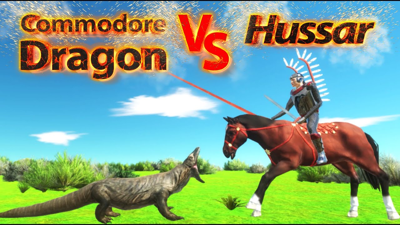 Commodore Dragon VS Hussar ! Battle ! ARBS - YouTube