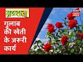 Annadata | गुलाब की खेती से करें अच्छी आमदनी, जाने फसल में किये जाने वाले जरूरी कार्य | News18 MP