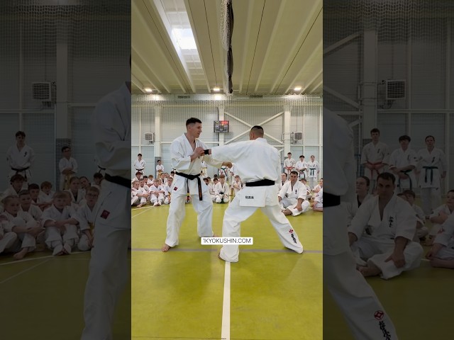 Baltic Fighting Camp 2026 #kyokushin #shinkyokushin #karate #1kyokushin #一極真 #極真会館