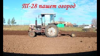 Т-28 на пахоте огорода осенью 2021 года