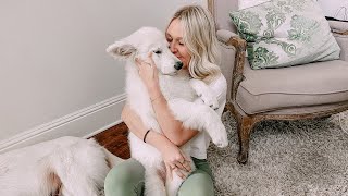 New Puppy's Name Reveal!!