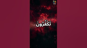 يوسف الصقير #سورة_يس #تلاوة_مميزة #تلاوة_مؤثرة #القرآن_الكريم #تلاوة_هادئة #تلاوة_خاشعة #حالات_واتس