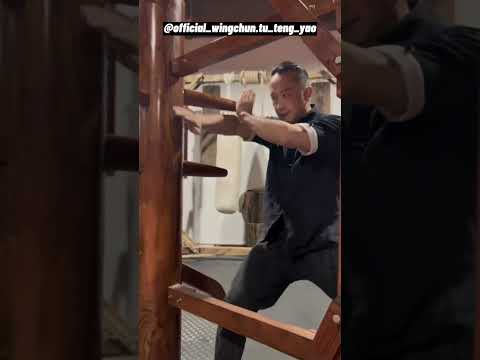 Mind-Blowing Mastery: Incredible Wooden Dummy Demo Showcasing Martial Arts Prowess - Tu Tengyao