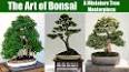 The Intricate Art of Bonsai ile ilgili video