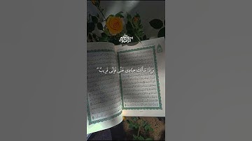 #احمد_العجمي #تلاوة_خاشعة #آيات_من_القرآن #دويتو #الرقية_الشرعية #لايك #القرآن_يشفي #duet #تيك_توك