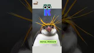 ABC Penguin Song | Letter PQRS | Learn Alphabets, English and Animals for Kids (Fun)