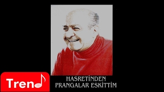 Ahmed Arif - Hasretinden Prangalar Eskittim