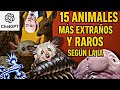 LOS 15 ANIMALES MAS EXTRAÑOS DE LA HISTORIA SEGÚN LA IA!!!