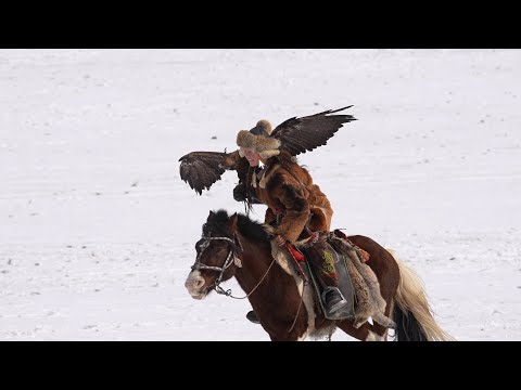 Golden Eagle Festival, Olgii, Mongolia, September 2023