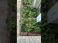 Прогулки по Лиссабону. Белень. Культурный центр. Зеленые фасады.  #португалия #путешествиe