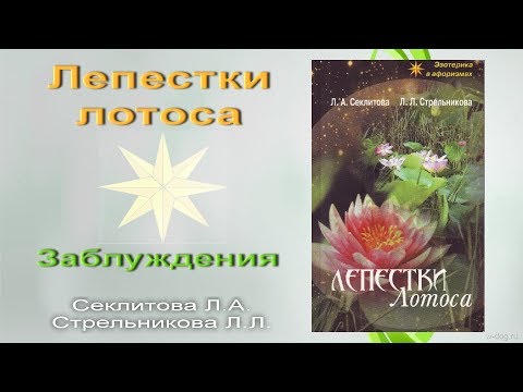 Книга "Лепестки лотоса". Заблуждения