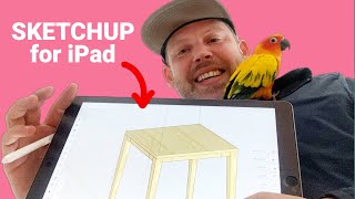 Get Started with Sketchup for iPad  Best Practices for Modeling