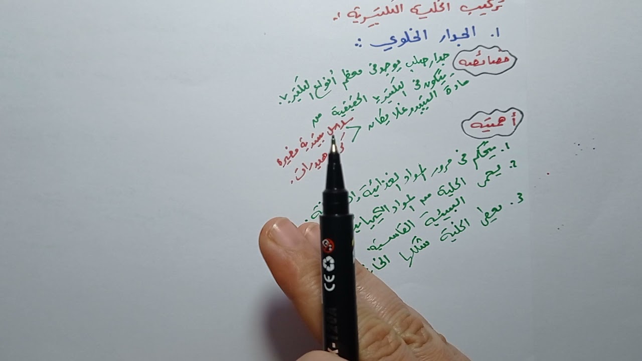 البكتيريا الجزء الثاني