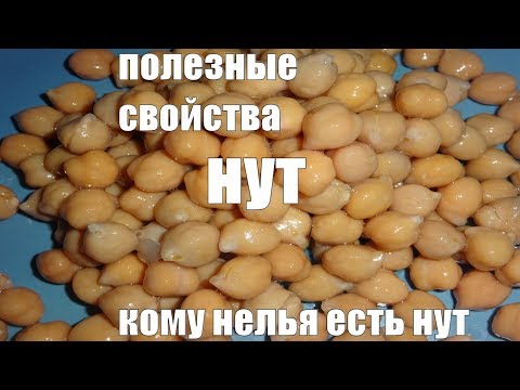 Нут полезные свойства Кому нельзя есть нут