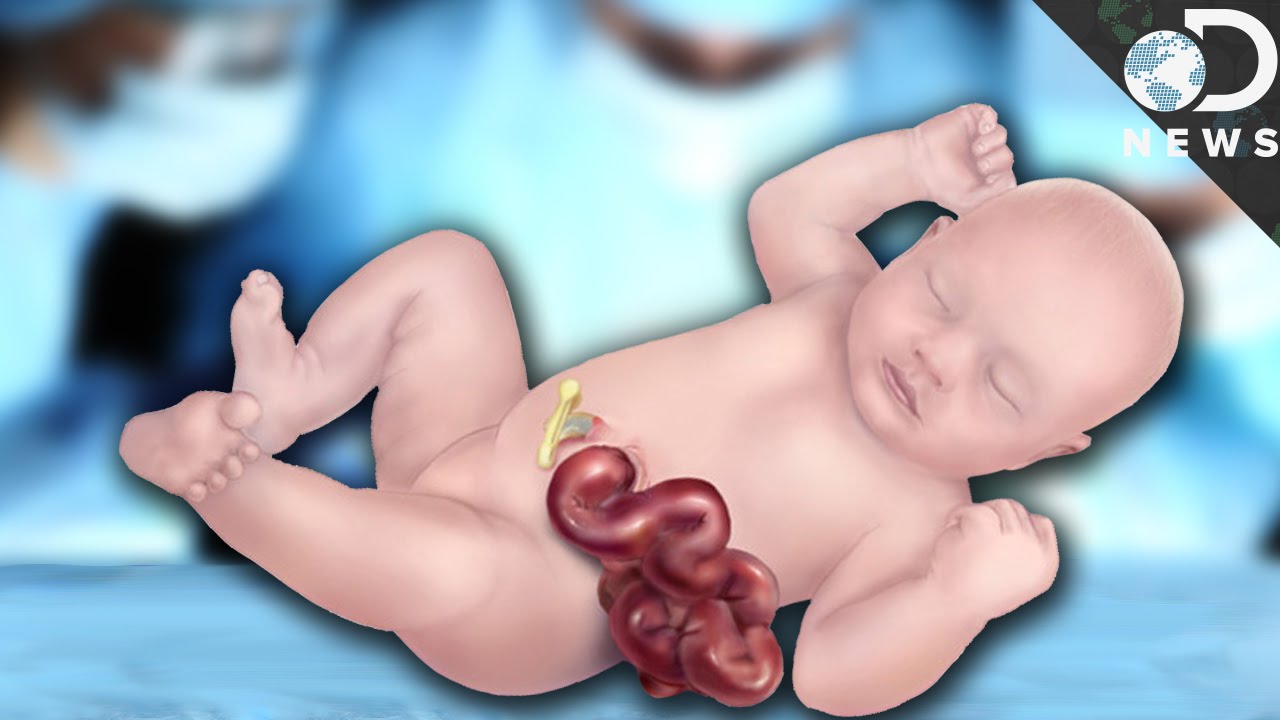 Why Babies Are Born The Outside - YouTube