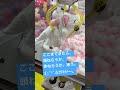 クレーンゲーム😊巨大マリーちゃん😊