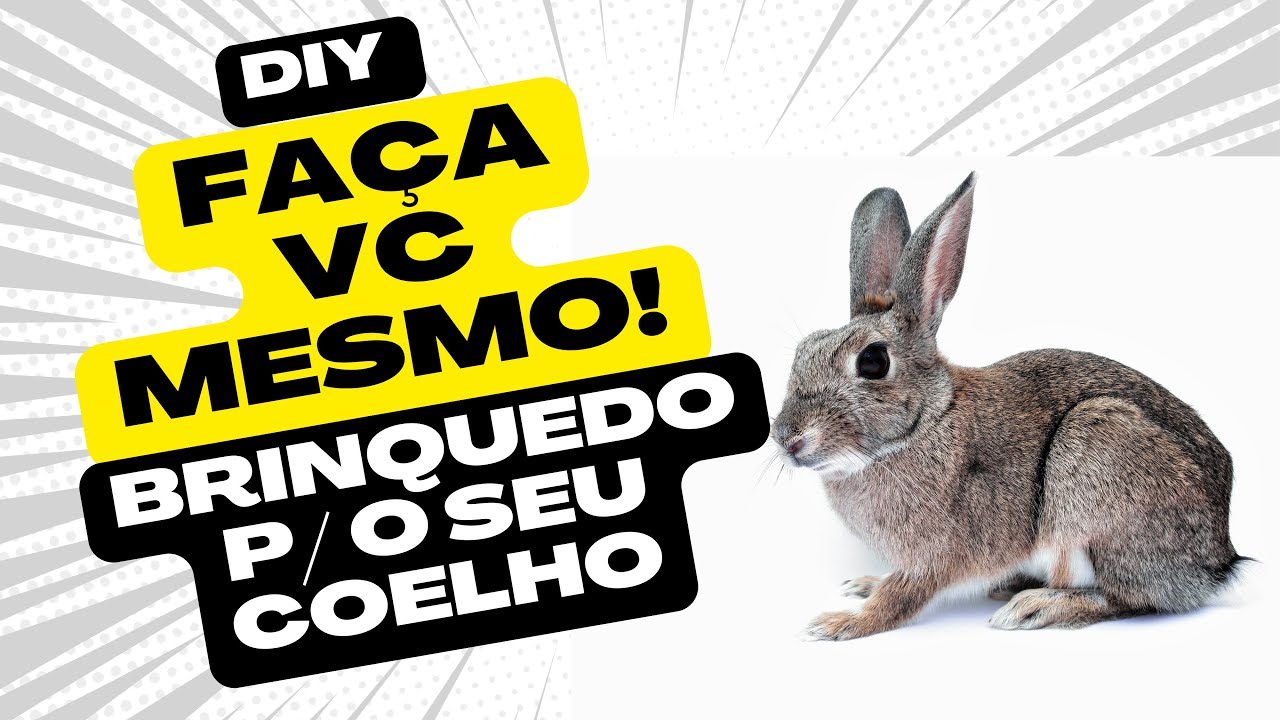 DIY Como fazer brinquedo para coelhos