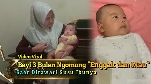 Video Viral Bayi 3 Bulan Ngomong Enggak dan Mau saat Ditawari Susu Ibunya
