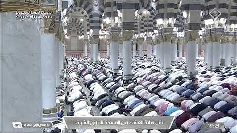 صلاة العشاء للشيخ محمد برهجي من المسجد النبوي 10 جمادى الأولى 1446 سورة عبس كاملة